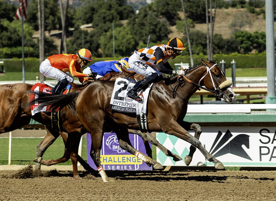 Pender Purple Patch Looks Set To Continue