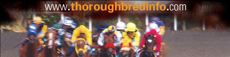 Thoroughbred Info | San Luis Rey Downs