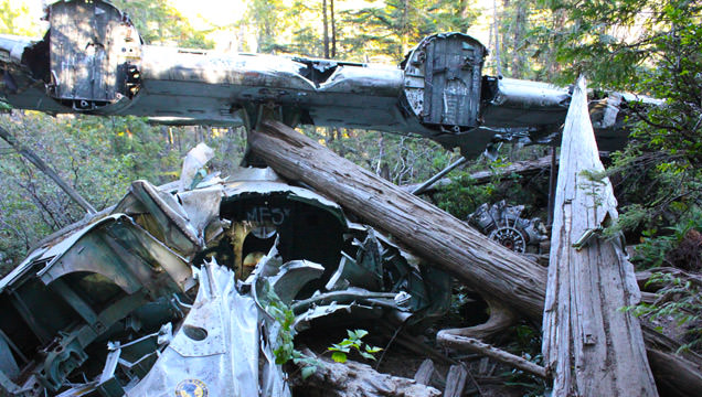 Canso Plane Crash Hike | Tofino Trails