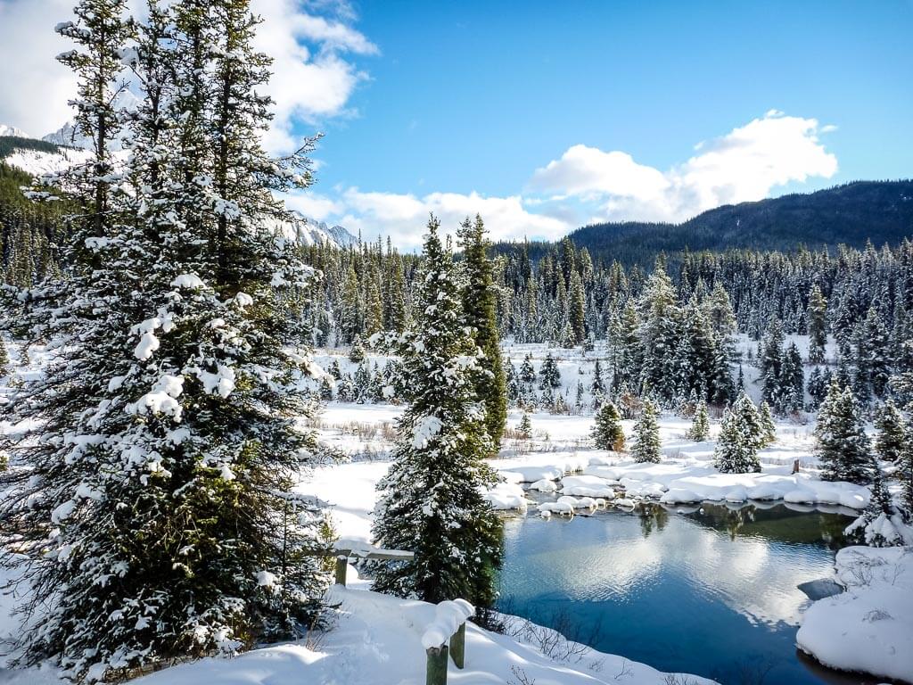 Snowshoeing in Banff – Don’t Miss These 10 Snowshoe Trails - Travel Banff Canada