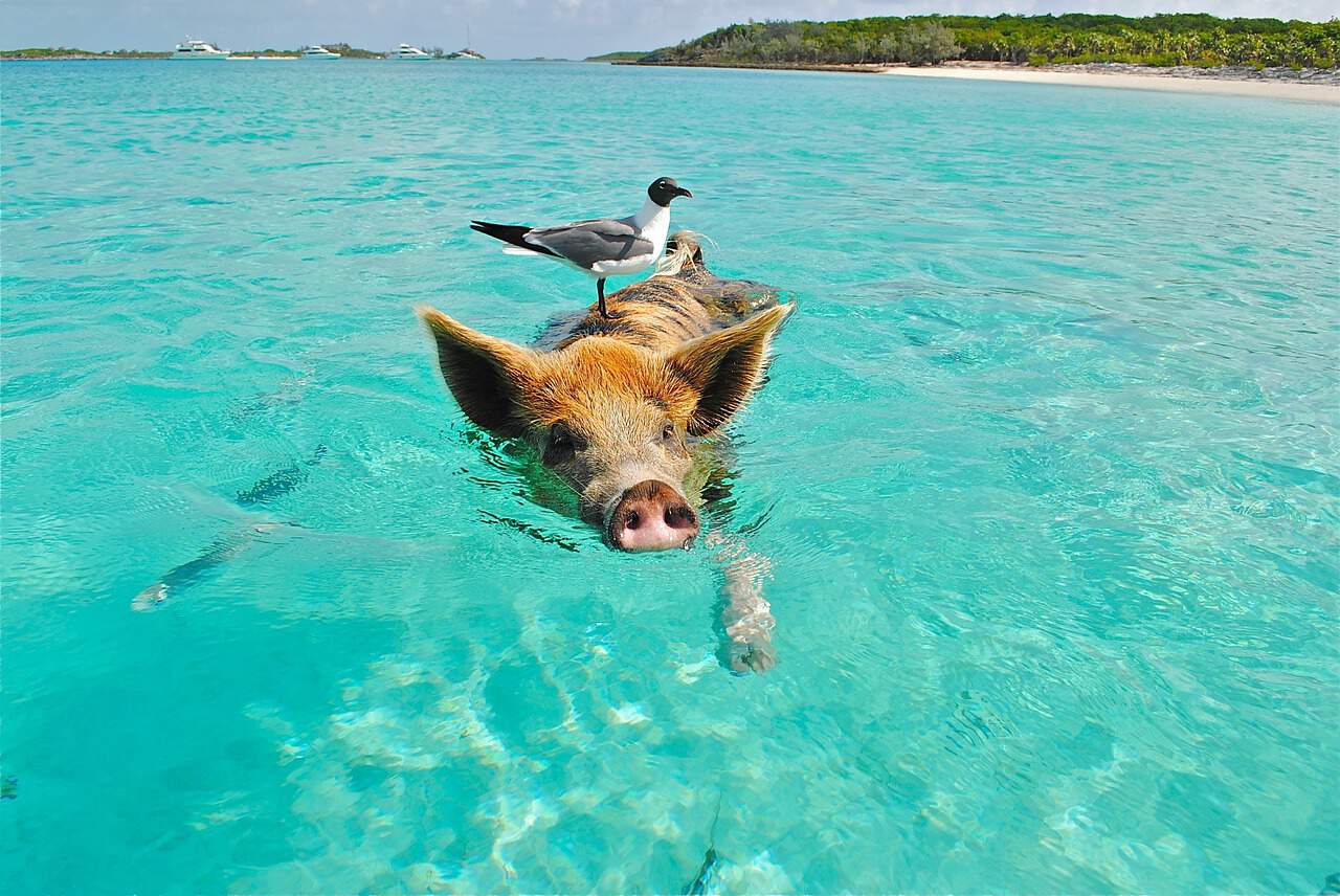 16 Best Off-Season Travel Destinations For 2024