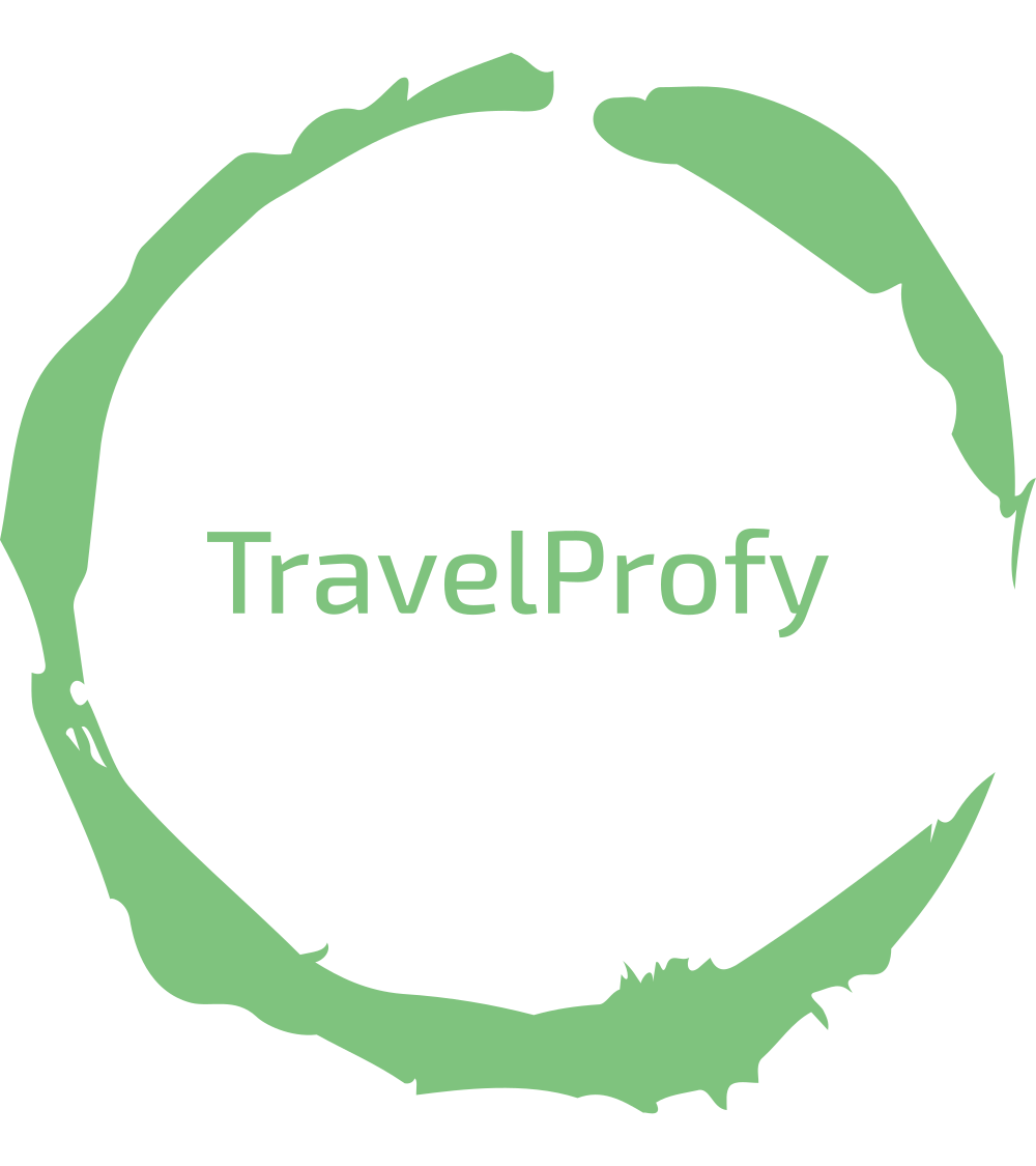 Charles de Gaulle Etoile to Orly - Travel Modes & Distance: Car, Public Transport