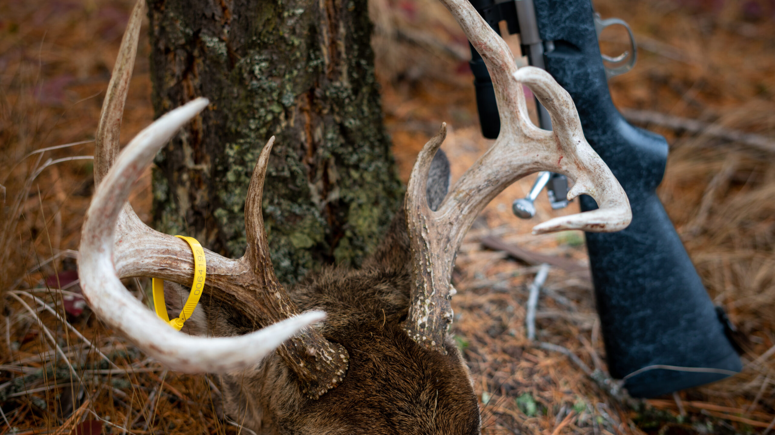 The Science of Chronic Wasting Disease: Why Every Hunter Should Care | Theodore Roosevelt Conservation Partnership