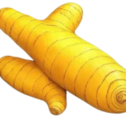 Turmeric and HIV: Exploring the Potential Connection