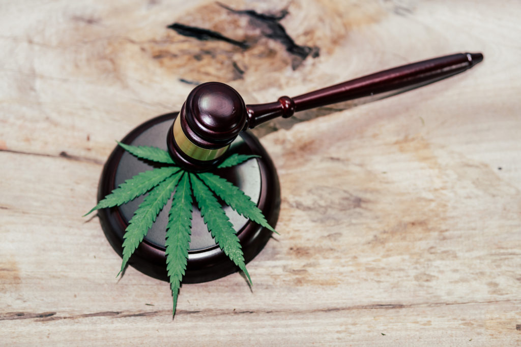 Decriminalization vs. Legalization of Drugs | Turnbridge