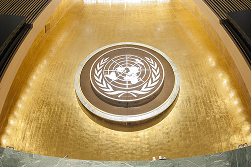 Privacy Notice | United Nations
