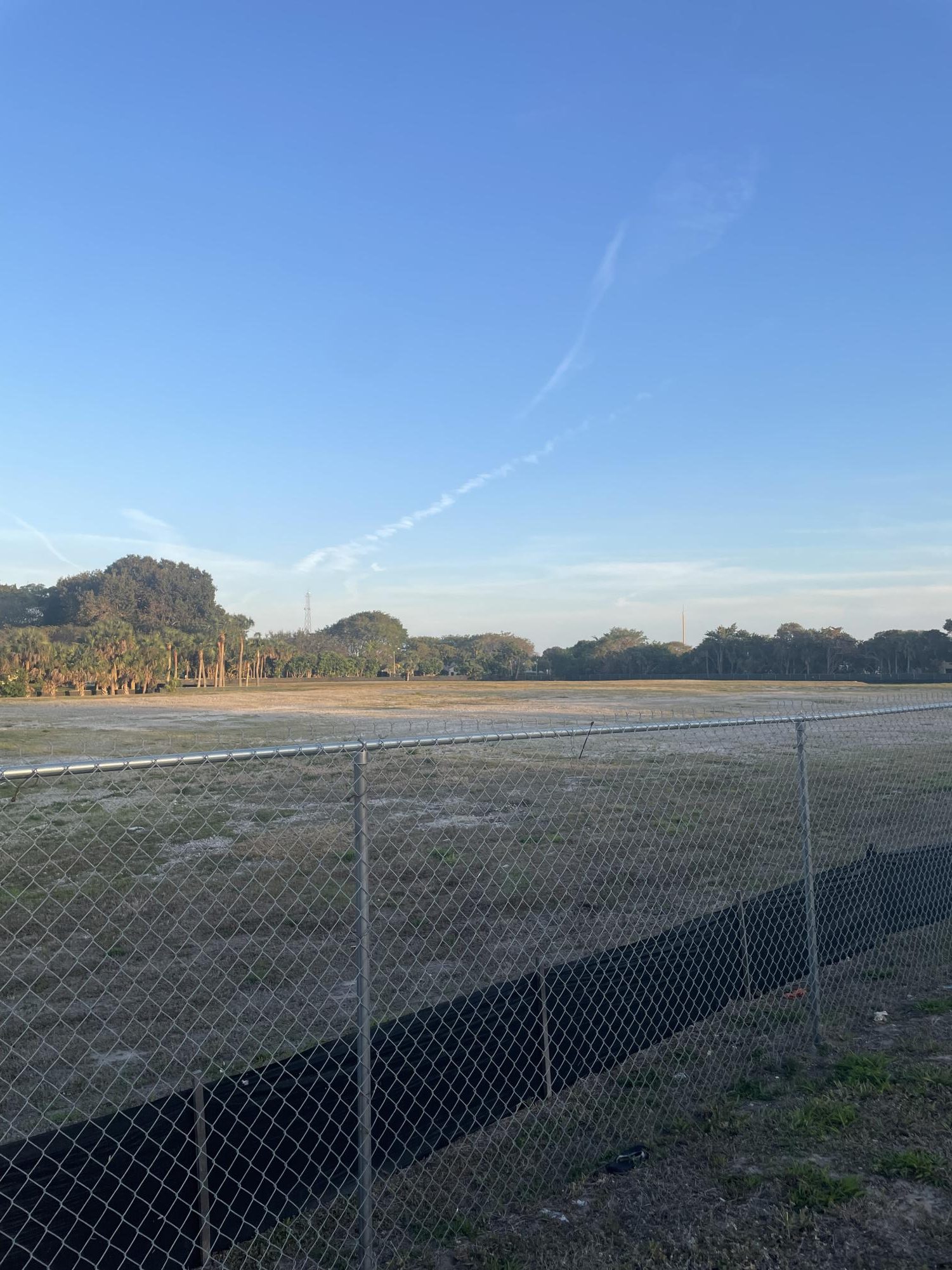 Developers turn student housing plan into luxury townhomes – FAU University Press