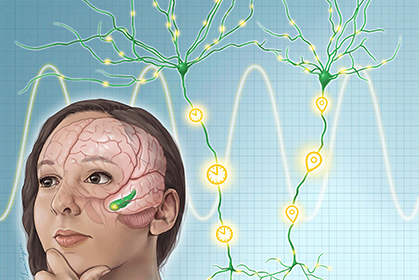 How the brain remembers right place, right time: Newsroom - UT Southwestern, Dallas, Texas