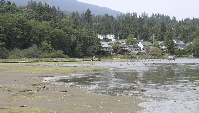 Maplewood Flats in North Vancouver | Vancouver Trails