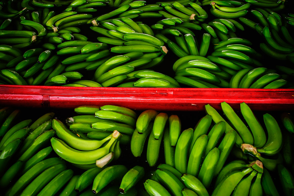 Pagos a grupos armados generaron conflictos internos en Chiquita Brands