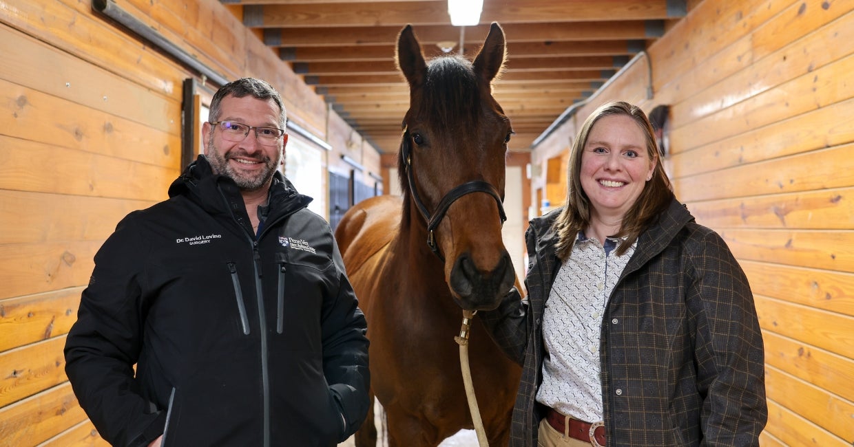 Biomarkers Help Crack the Code on Saving More Equine Lives – University of Pennsylvania, School of Veterinary Medicine