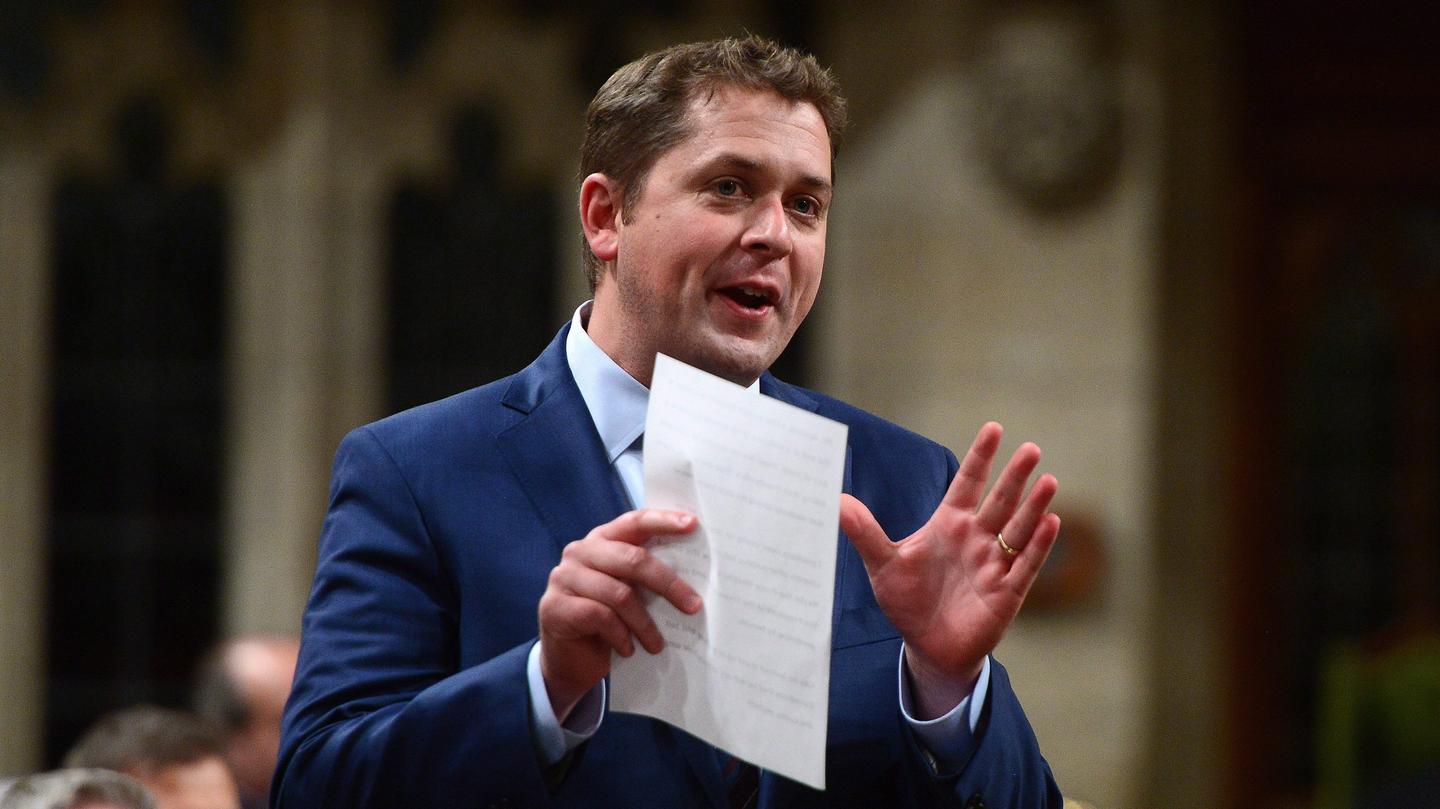 Former Director of The Rebel Named Conservative Party Campaign Director