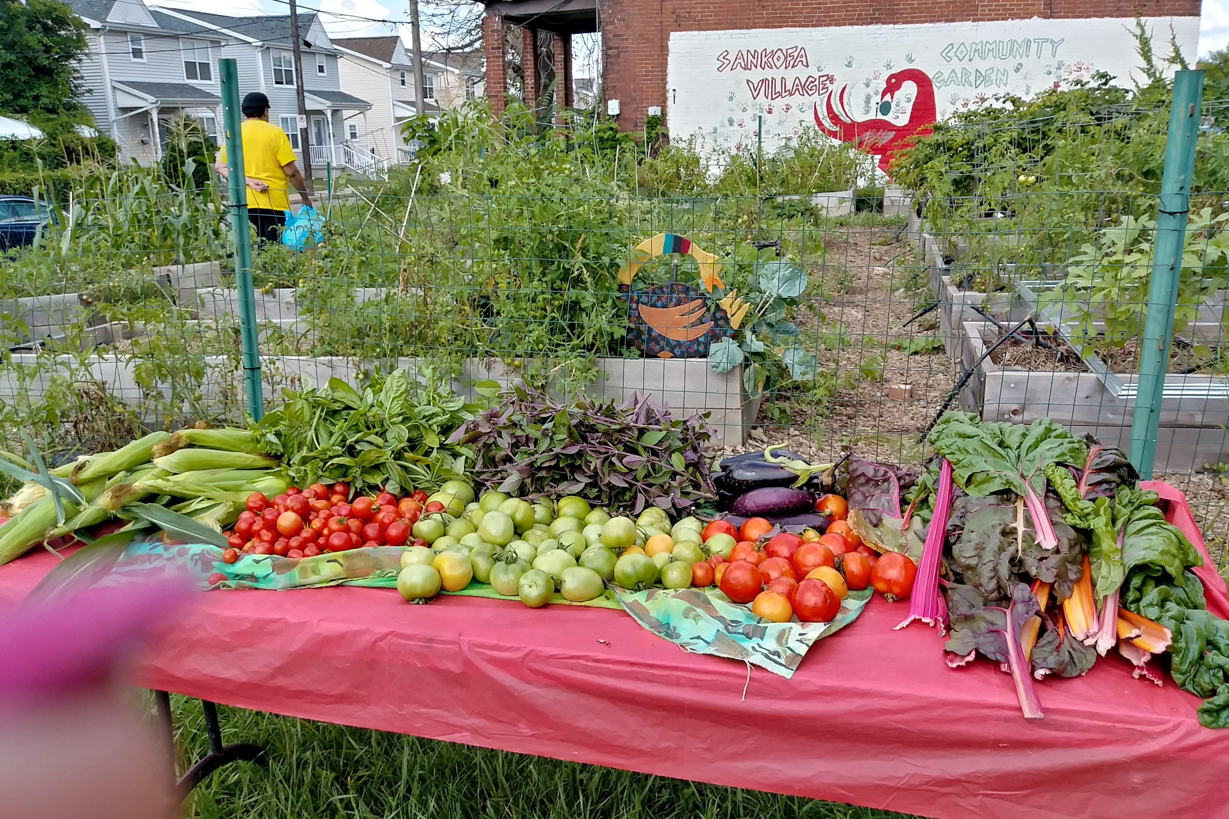This Neighborhood Without a Grocery Store for 40 Years Is Changing How It Gets Good Food