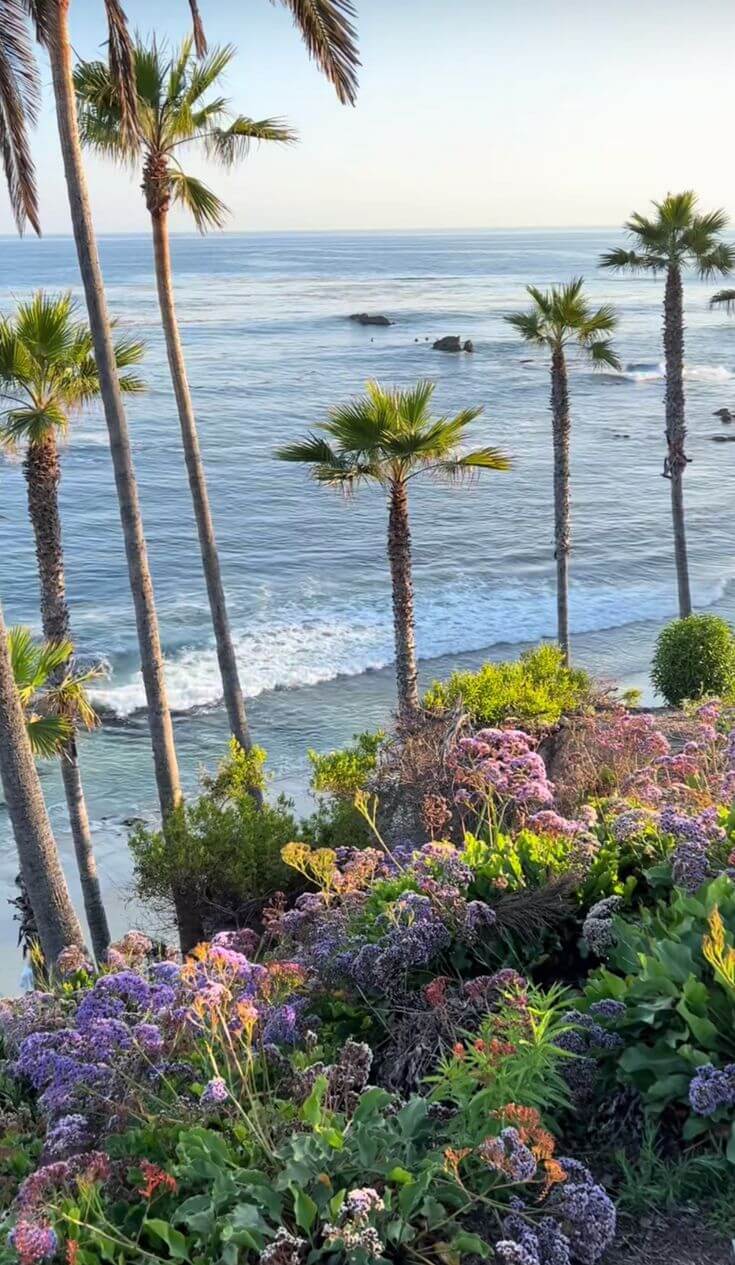 25 Things to Do in Laguna Beach in 2025. | Visit Laguna Beach
