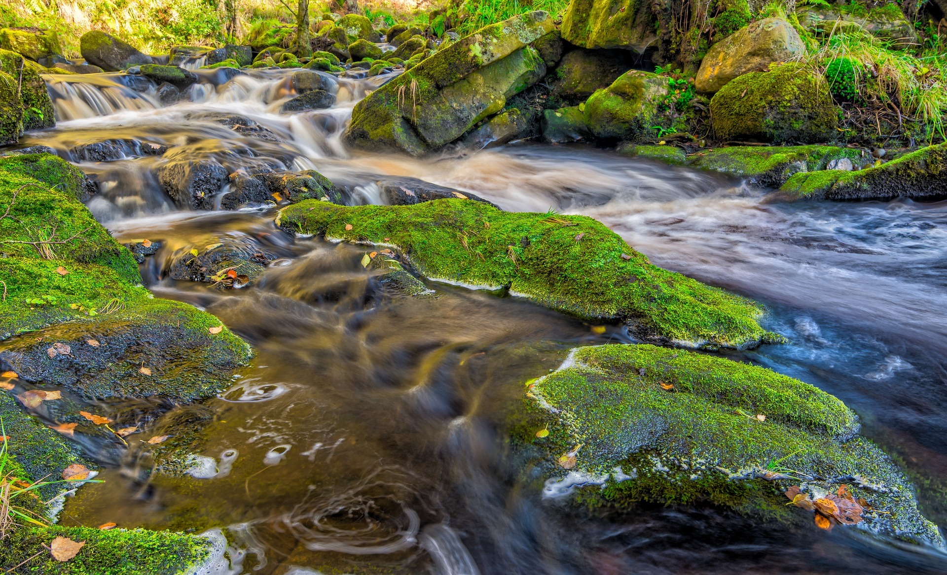 Toxic chemical cocktails found at over 1,600 river and groundwater sites across England
