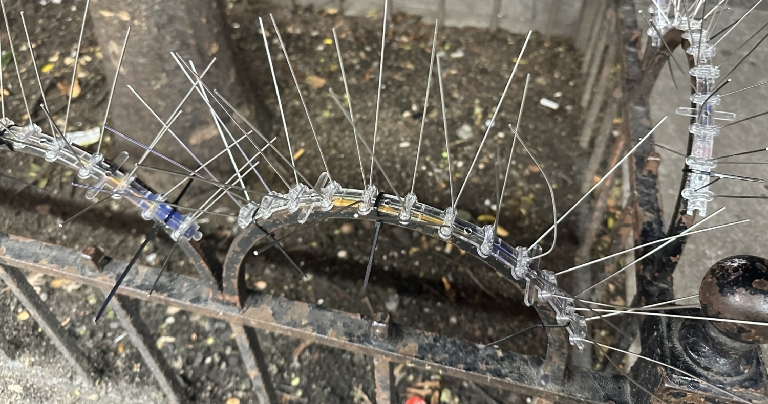 UPDATED: Spikes Surrounding UWS Tree Bed No Halloween Prank, REMOVED!