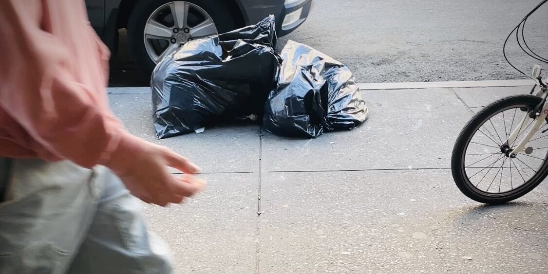 Biting Back: This Upper West Sider Went to NYC's Rat Academy; Here’s What I Learned