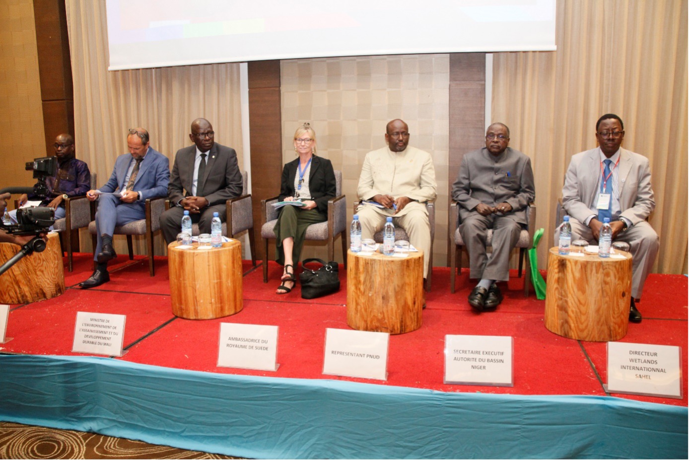 High-level Round Table between Wetlands International & its Partners in the Sahel - Wetlands International