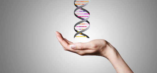 A Super Brief and Basic Explanation of Epigenetics for Total Beginners