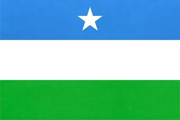 The Minnesota Somali fraud and multicultural victimhood * WorldNetDaily * by Hanne Nabintu Herland