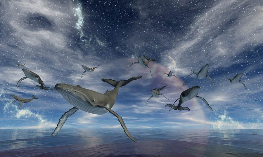 Learn Lucid Dreaming: The Ultimate Guide to Conscious Dreams
