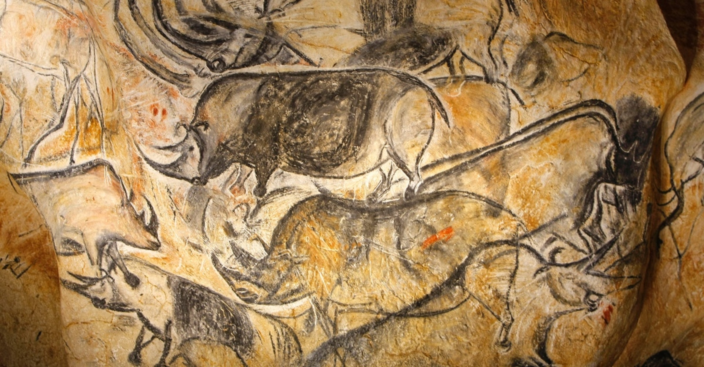 La grotte Chauvet - Encyclopédie de l'Histoire du Monde