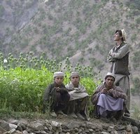 Iran's 30-Year War on Drugs | World Politics Review