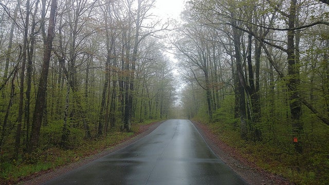 Wisconsin tribes oppose ending protections for roadless areas on national forests - WPR