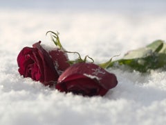 Is January Really "Divorce Month"? | YourTango