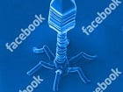 Facebook : contraint par la justice belge à stopper le traçage de ...