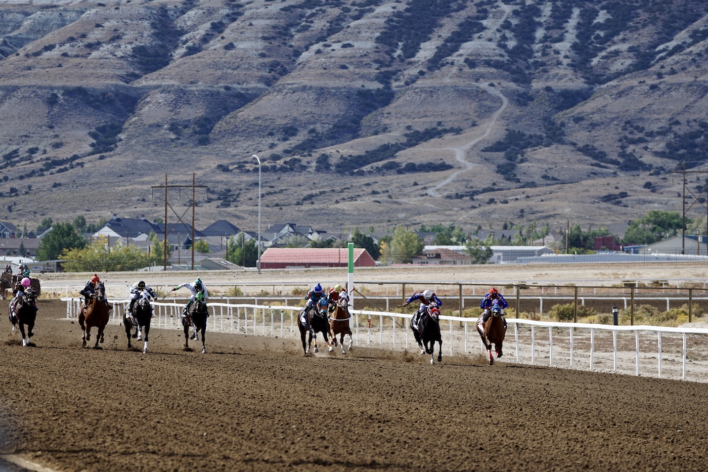 At a track in Wyoming’s sagebrush sea, horse racing flourishes amid a national decline - WyoFile