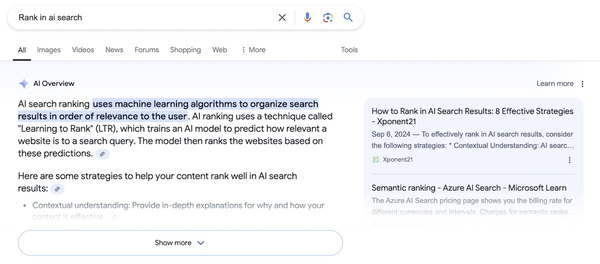 AI Overviews Dominate Search Results: Why Your SEO Strategy Needs a Major Upgrade - Xponent21