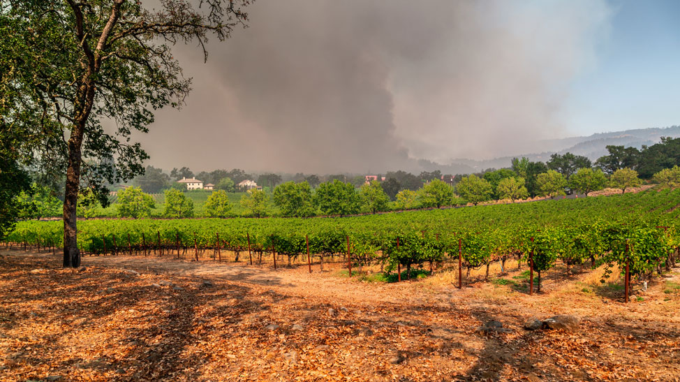 Multiple extreme climate events can combine to produce catastrophic damages » Yale Climate Connections