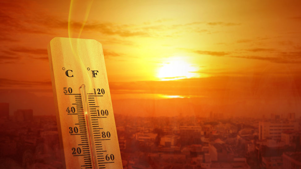 Confronting the 'isolated, lonely, painful deaths' from heat waves » Yale Climate Connections