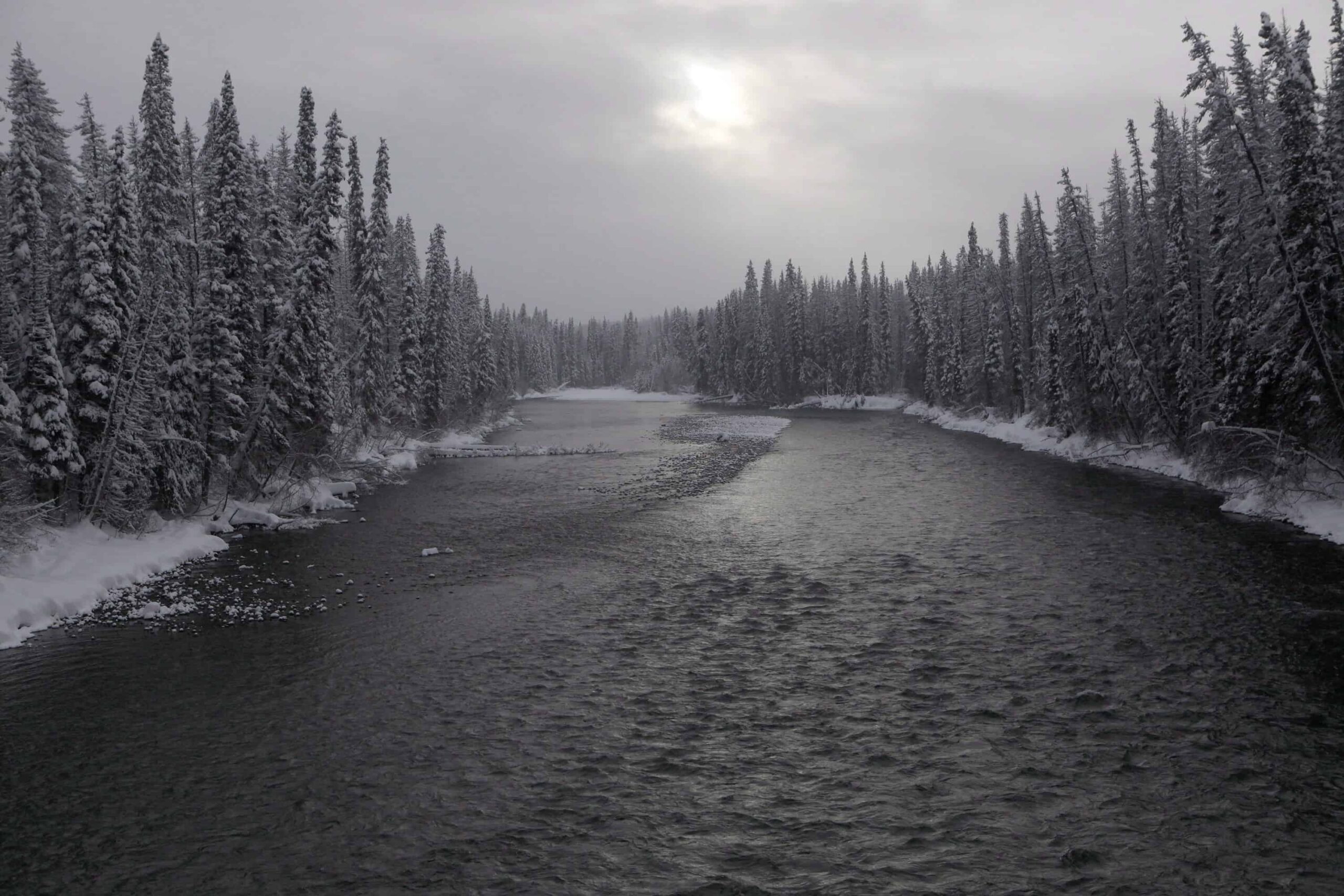 Wet'suwet'en: Why are Indigenous rights being defined by an energy corporation? - Yellowhead Institute
