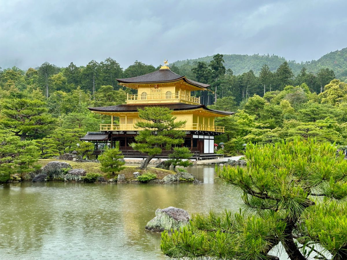 Japan Without the Guesswork: A Seamless 2-Week Itinerary for Discerning Travelers - Your Time to Fly